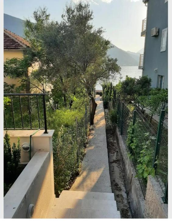 Apartments Boka Blue Dobrota Cattaro Esterno foto